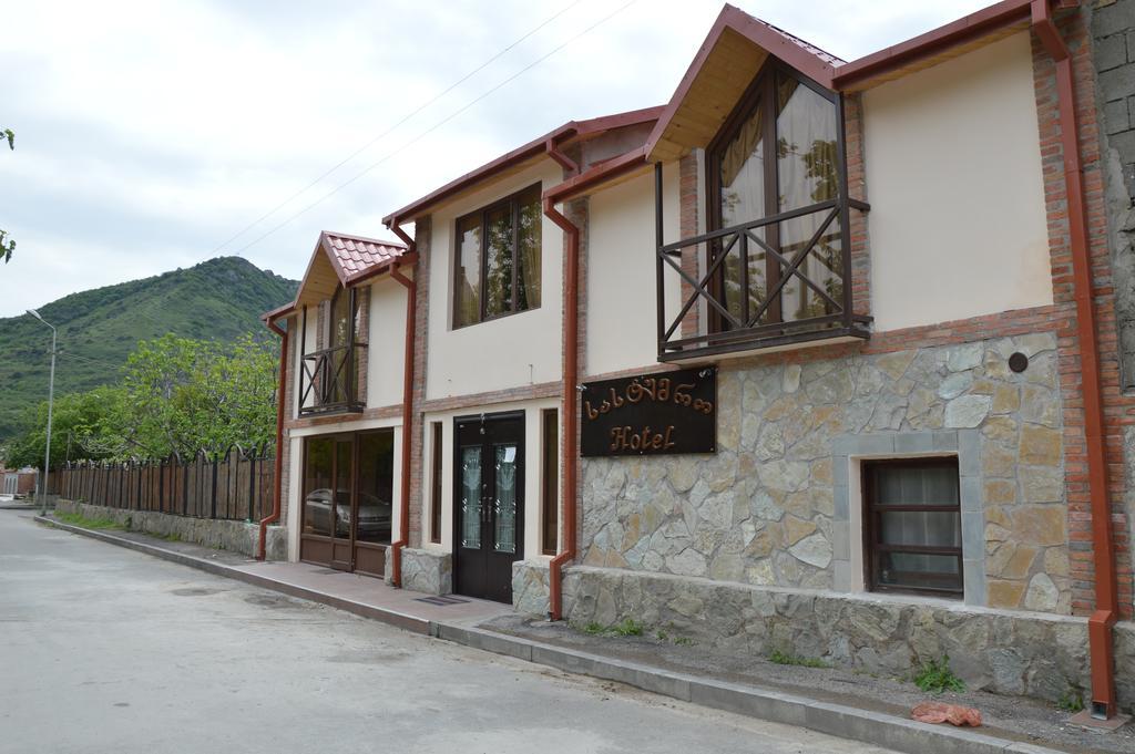 Hotel Bagineti Mtsʼkhetʼa المظهر الخارجي الصورة